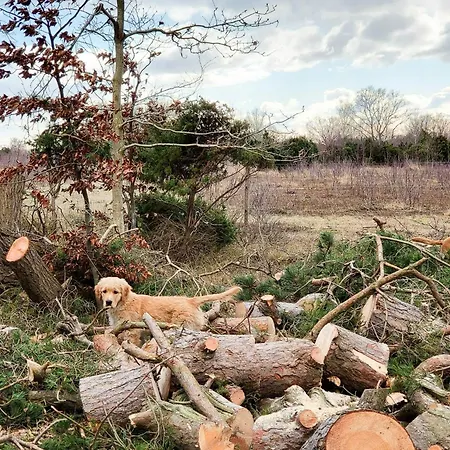 Casa vacanze Architect-designed Gem On Mon With View