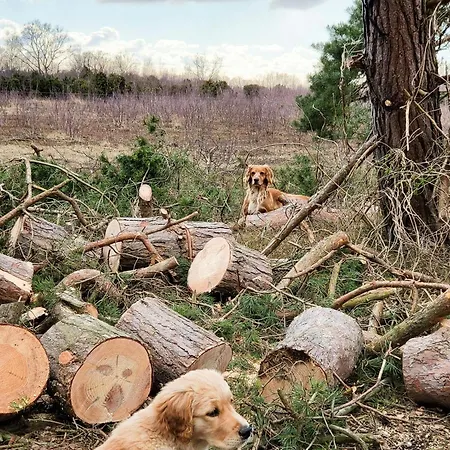 Architect-designed Gem On Mon With View Casa vacanze *