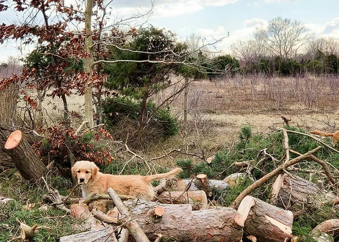 Prázdninový dům Architect-designed Gem On Mon With View