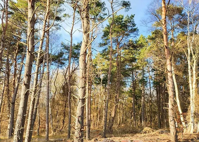 Architect-designed Gem On Mon With View Stege