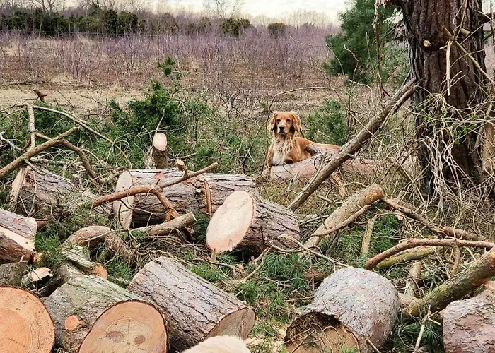 Architect-designed Gem On Mon With View Prázdninový dům *